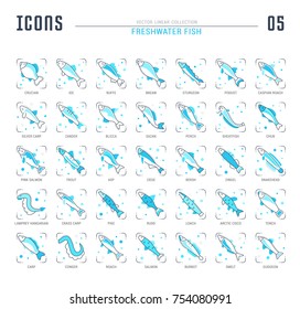 Collection of vector flat icons with thin line elements of freshwater fish. Set of clean design, and outline signs. Simple linear infographics and pictograms pack for web graphics and apps.