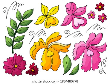 Collection of vector floral elements. Flowers and leaves in hand draw style. Orchids, green leaves and curls