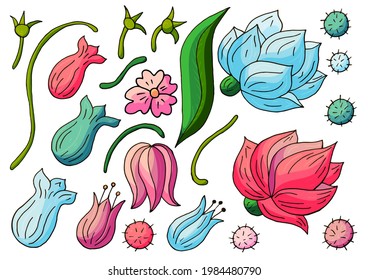 Collection of vector floral elements. Flowers and leaves in hand draw style. Peonies and tulips