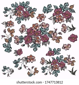 Sammlung von Vektorblumen im schönen antiken Stil für Design