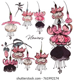 Collection of vector flowers in hand drawn style pink color