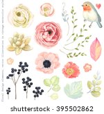 Collection vector flowers ranunculus, anemone, succulent, Robin bird, wild Privet Berry, green branches and leaves in vintage watercolor style.