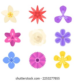 La colección de flores vectoriales de diversos tipos y colores puede utilizarse para diversos fines de ilustración
