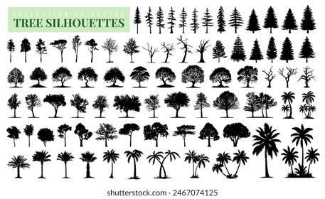 Collection of vector forest tree silhouette or wild nature element line art on white background. Botanical, tropical and beach tree silhouette. Palm, fir, pine, coniferous or christmas tree silhouette