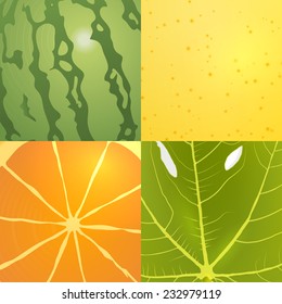 collection of vector fruits textures