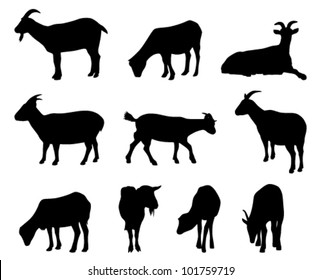 collection of vector goat silhouettes on white background