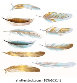 Collection of vector golden feathers for design in realistic style 
