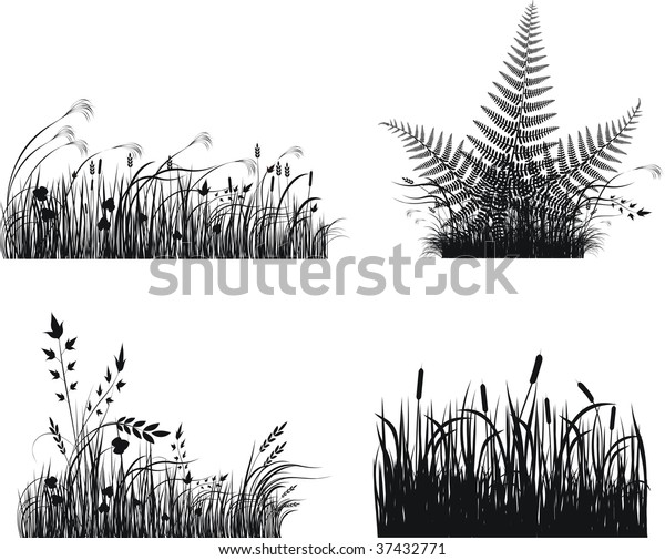 Collection Vector Grass Silhouette Stock Vector (royalty Free) 37432771 