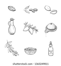 Collection of vector hand drawings of argan. Fruits and leaves of the plant and argan oil on a white background