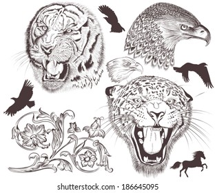 Collection of vector hand drawn animals