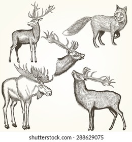 Collection of vector hand drawn animals in engraved style