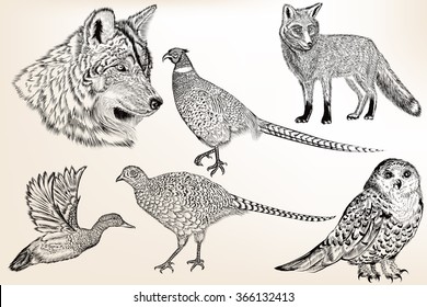 Collection of vector hand drawn animals in engraved vintage style for design