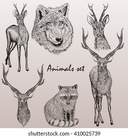 A collection of vector hand drawn animals  in vintage style