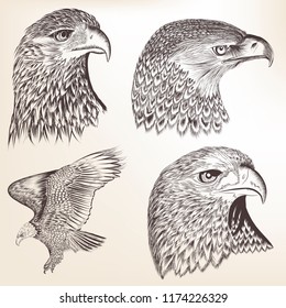 Collection of vector hand drawn eagles
