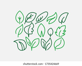 Collection of vector hand drawn leaves, green leaf icons, sketches and doodles illustration, line art