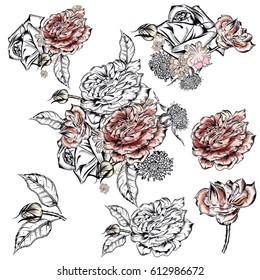 Collection of vector hand drawn roses for design