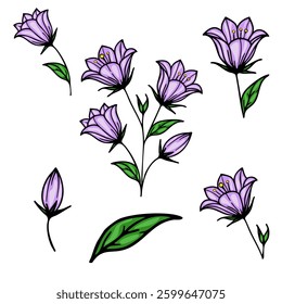 A collection of vector hand-drawn purple bellbellflowers with green leaves, showcasing various stages of bloom. The design features both open and closed bellbellflowers.