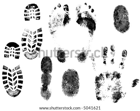 A collection of Vector HandPrints, Fingerprints, Footprints, and Shoeprints. All grouped and on separate layers.