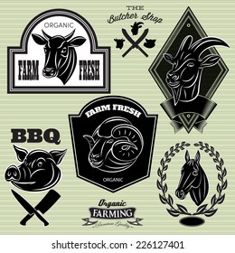 collection of vector heads animals for design