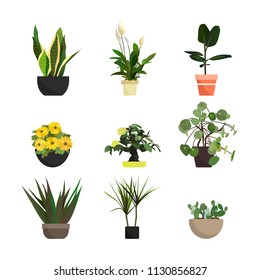 Collection of vector houseplants. Flat style flowers. Interior Design. green plant in pot, flowerpot bloom