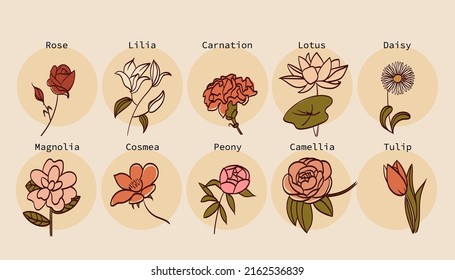 una colección de iconos vectoriales que representan varios tipos de flores en un estilo sencillo