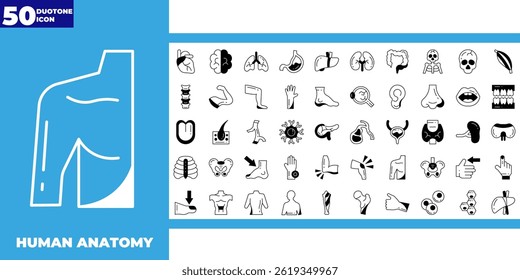 Collection of vector icons of human organs and body parts
