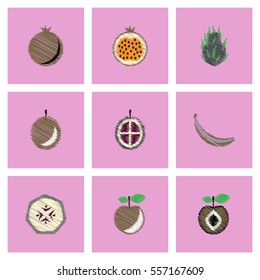 Collection of vector icons and illustration delicious fruits