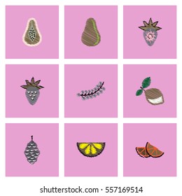 Collection of vector icons and illustration delicious fruits