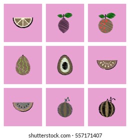 Collection of vector icons and illustration delicious fruits