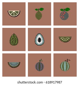 Collection of vector icons and illustration delicious fruits