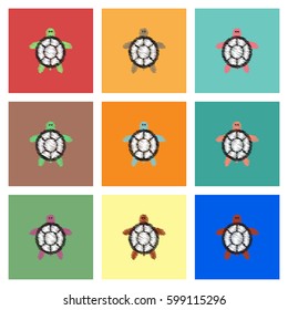 Collection of vector icons and illustration sea turtle