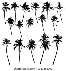 Collection of vector icons silhouettes of coconut trees isolated on white background.