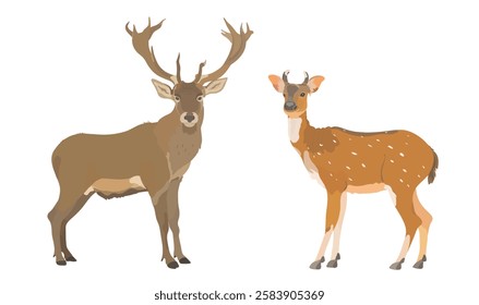 Collection vector illustration of cartoon Deer and red Elk. Cute wild animals set isolated on white. 