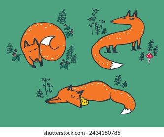 Collection of vector illustration of cute cartoon hand drawn fox in different poses, sleeping, walking, with forest plants, strawberry and mushroom isolated on color green background