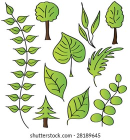 Collection of vector illustration leave