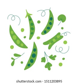 Collection of vector illustration of sweet fresh green pea isolated on white background. Colorful hand drawn cartoon style. Vegetable organic food ingredient. Healthy diet vegetable.