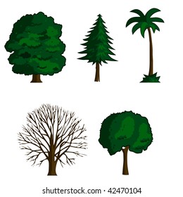 collection of vector illustration trees