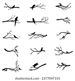 Collection of vector illustrations of bird silhouettes perched on branches