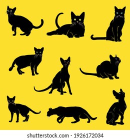 Collection of vector illustrations of black cats in different positions on yellow background