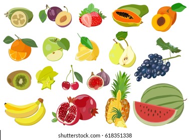 Collection of vector illustrations of colorful fruits isolated on white background: feijoa, figs, papayas, watermelon, lemon, kiwi, pomegranate, pineapple