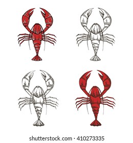 collection of vector illustrations of crayfish isolated on a white background , full-color stylized lobster linear silhouettes