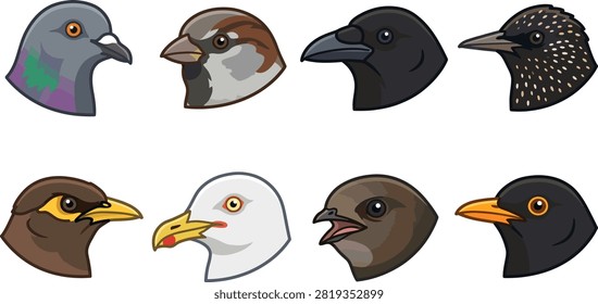 Collection of vector illustrations featuring heads of various bird species including pigeons sparrows crows and seagulls in a flat graphic style