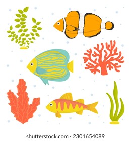 Collection of vector illustrations. Fish and seaweed isolated on white background. Flat cartoon