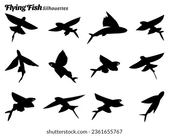 Collection of vector illustrations of flying fish silhouettes