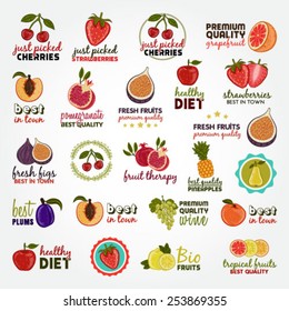 Collection of vector illustrations with fruits and editable text
