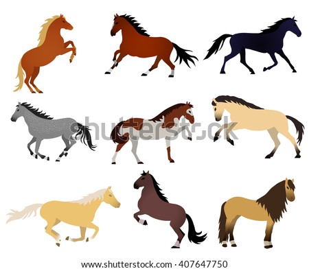 Collection of vector illustrations with horses on white background. Elements for design. Standing, jumping, racing, galloping, rearing horses.