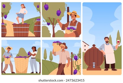 A collection of vector illustrations with scenes of wine creation: harvesting grapes, crushing grape juice with your feet, tasting the finished wine against the background of a farm