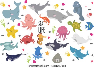 Collection of vector illustrations with sea animals on white background