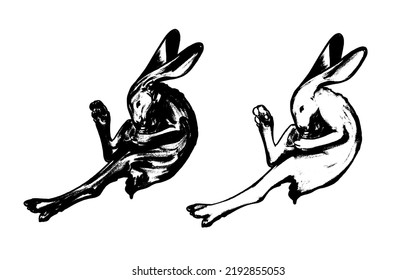 Collection of vector illustrations. Set of cute little rabbits. Hand drawn ink sketches isolated on white. Elements for Easter, spring design, cards, posters, prints, wrapping, etc. Vintage etching.