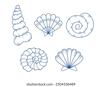 Collection of vector illustrations of shells